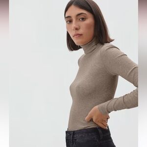 Everlane Pima Micro-rib turtleneck